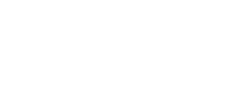 nasic Logo