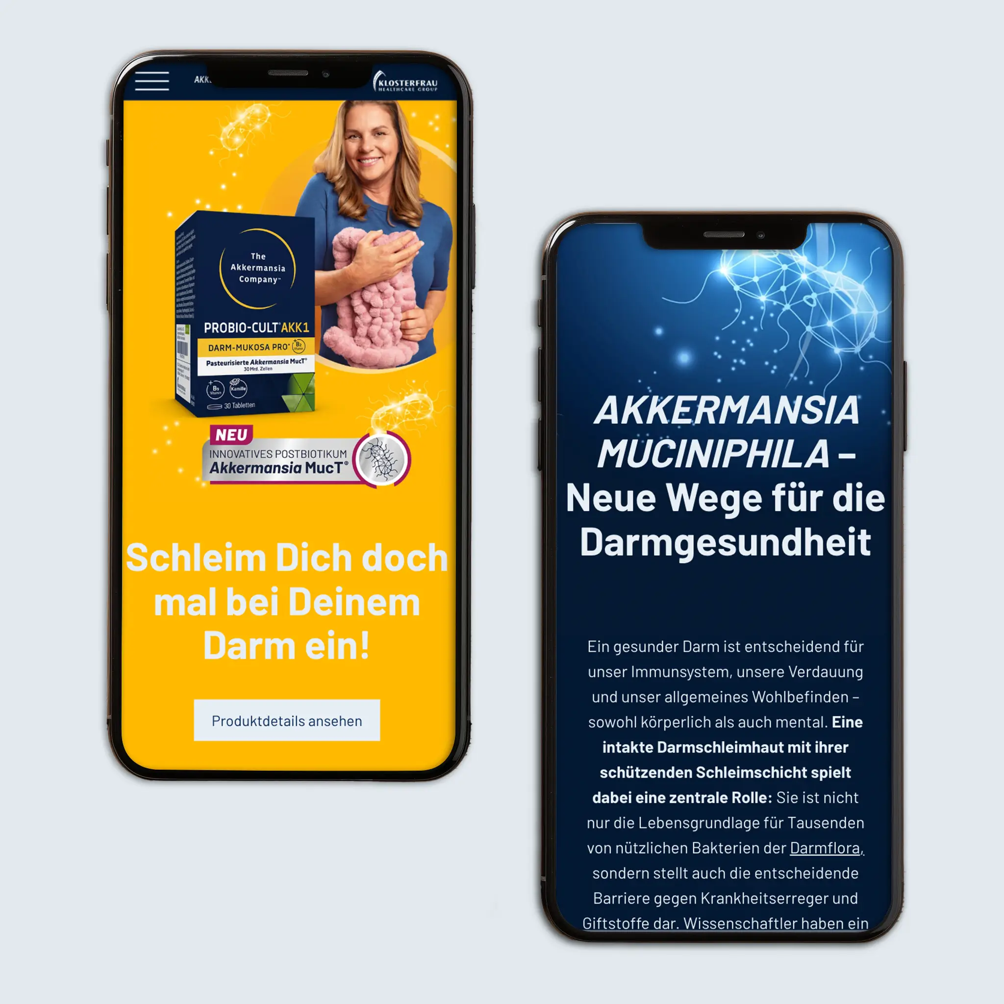 Ansichten der Website als Screens im Smartphone