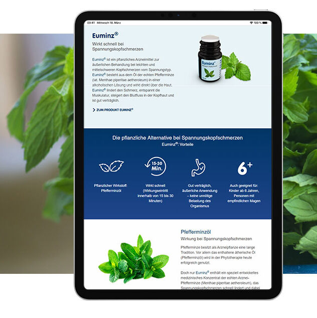 Ansicht der Website als Screen im Monitor